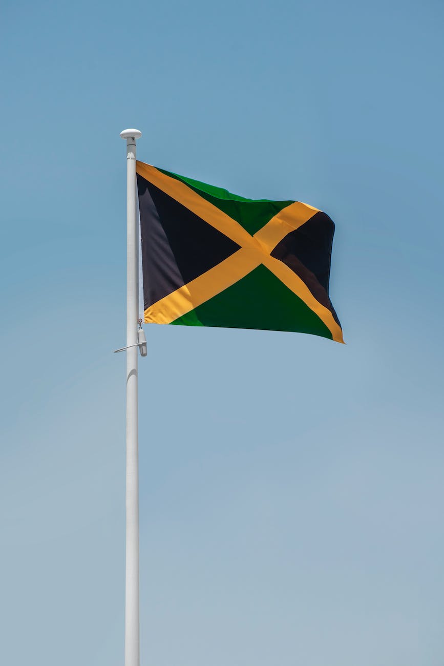 flag of jamaica (Photo by aboodi vesakaran)