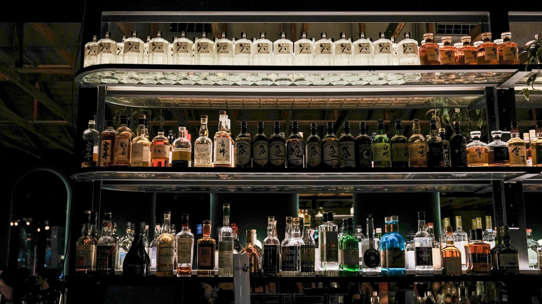 bar shelves filled with bottles (Photo by Raphael Loquellano)