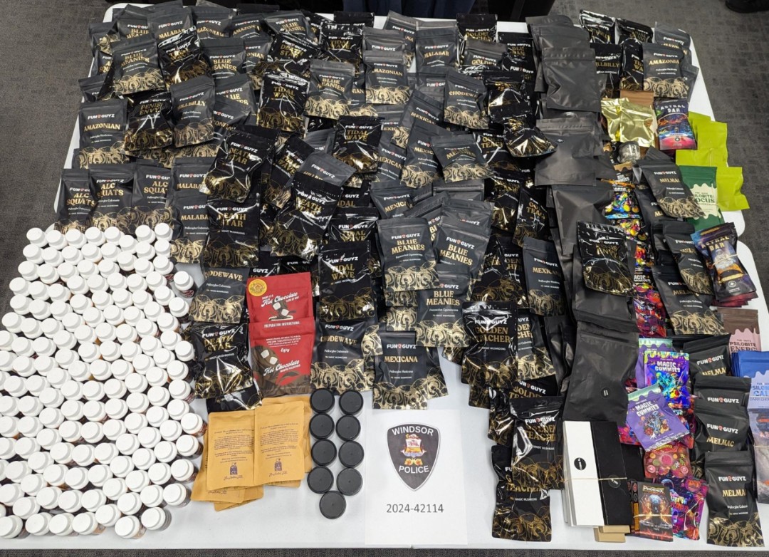 Illegal products seized from Fun Guyz magic mushroom store (Windsor Police)