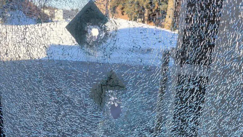 Too Little, Too Cute, & Two and a Half Years Late